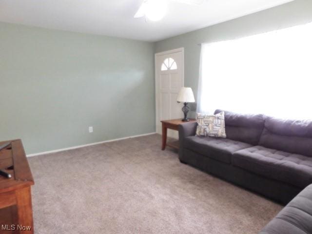 521 Holly Dr, Berea, OH 44017 - photo 8