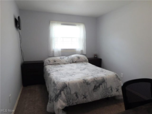 521 Holly Dr, Berea, OH 44017 - photo 13
