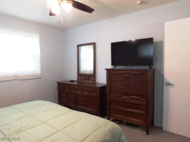 521 Holly Dr, Berea, OH 44017 - photo 17