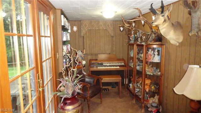 3981 Washington School Rd, New Cumberland, WV 26047 - living area with wood walls, healthy amount of natural light, and carpet flooring