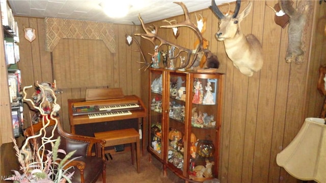 3981 Washington School Rd, New Cumberland, WV 26047 - sitting room with wooden walls and carpet