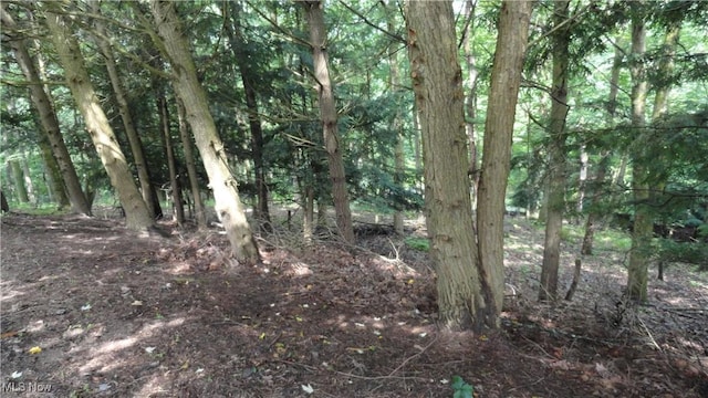 3981 Washington School Rd, New Cumberland, WV 26047 - view of woods