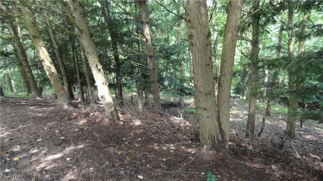 3981 Washington School Rd, New Cumberland, WV 26047 - photo 31