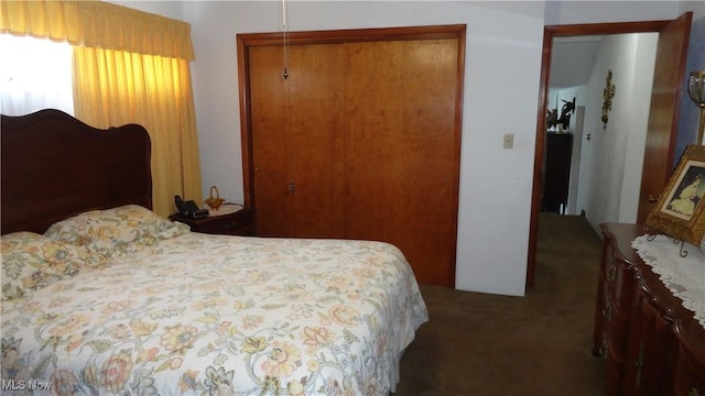 3981 Washington School Rd, New Cumberland, WV 26047 - bedroom with a closet and carpet floors