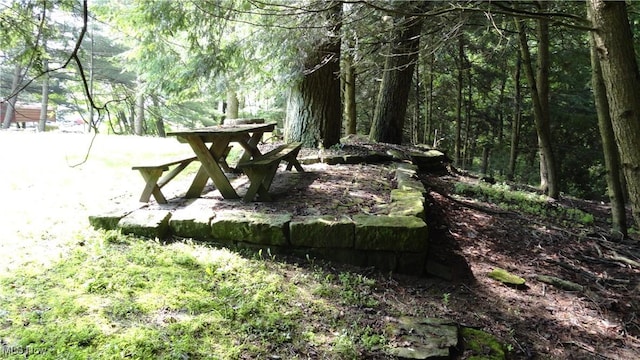 3981 Washington School Rd, New Cumberland, WV 26047 - view of property's community with a wooded view