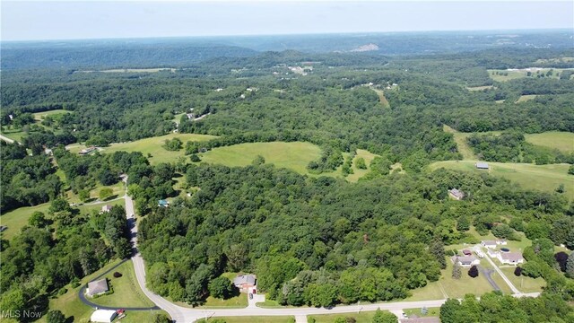 3981 Washington School Rd, New Cumberland, WV 26047 - photo 43