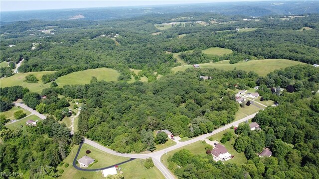 3981 Washington School Rd, New Cumberland, WV 26047 - photo 45
