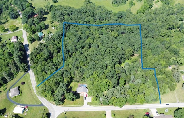 3981 Washington School Rd, New Cumberland, WV 26047 - photo 50