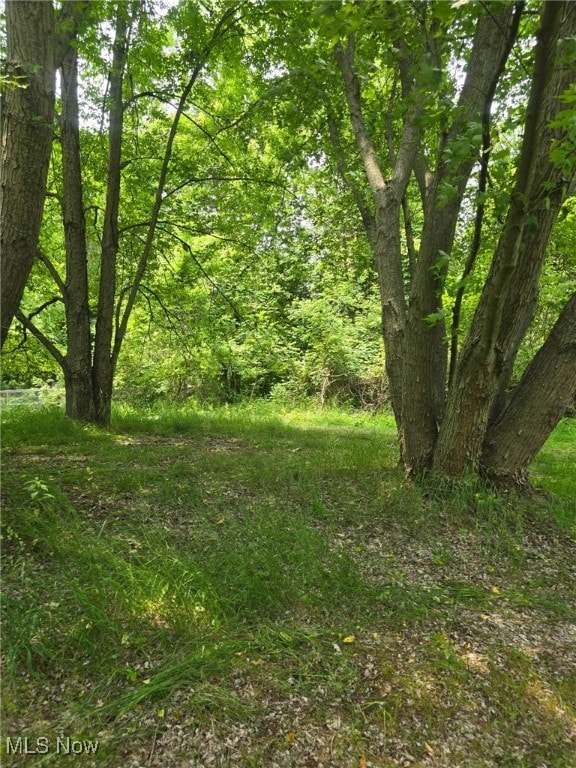 Center Rd, Conneaut, OH 44030 - photo 3