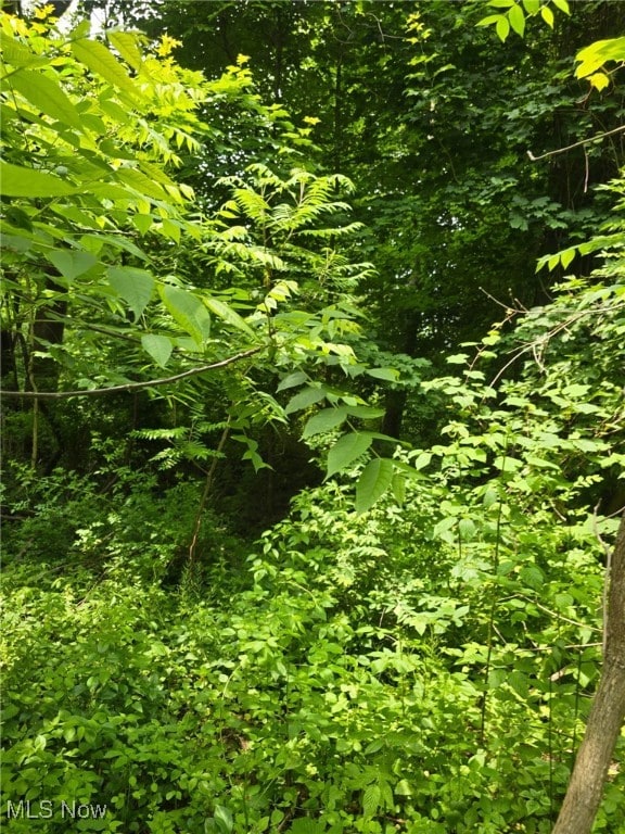 Center Rd, Conneaut, OH 44030 - photo 8