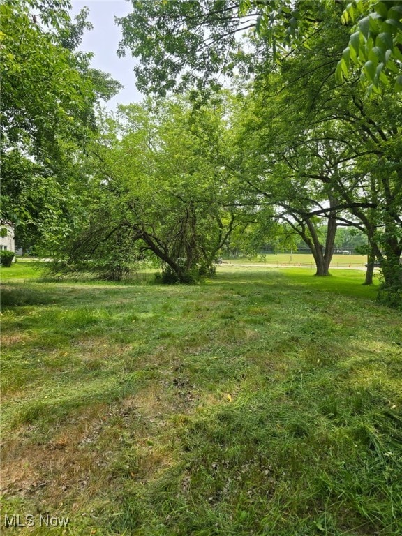 Center Rd, Conneaut, OH 44030 - photo 9