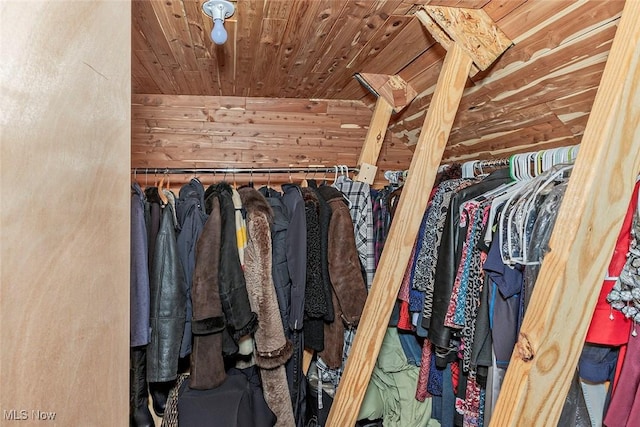 1569 E 118th St Unit B, Cleveland, OH 44106 - view of walk in closet