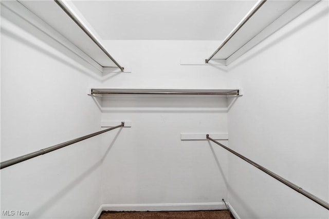 3965 Ellendale Rd, Chagrin Falls, OH 44022 - spacious closet featuring carpet floors