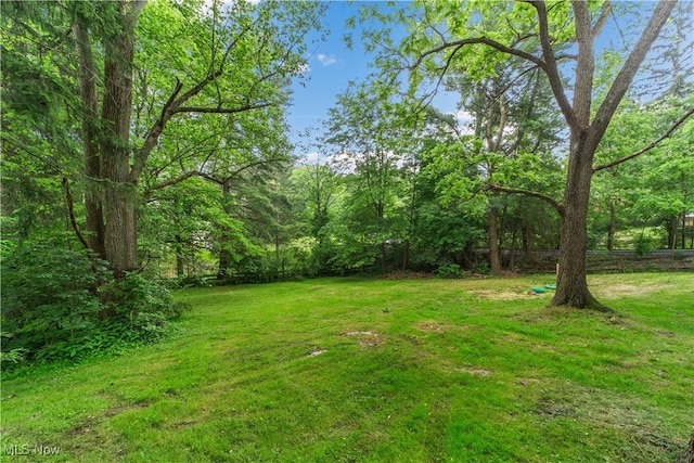 3965 Ellendale Rd, Chagrin Falls, OH 44022 - view of green lawn