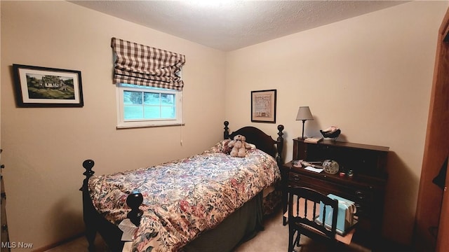 112 Laurel Ln, Washington, WV 26181 - view of carpeted bedroom