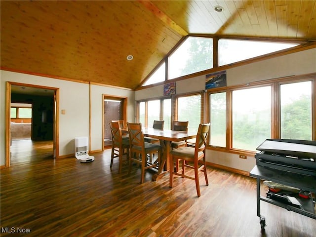 32701 Gundy Ridge Rd, Bowerston, OH 44695 - dining room with healthy amount of natural light, wood finished floors, wooden ceiling, and high vaulted ceiling