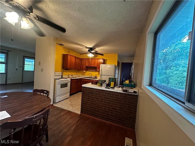 19 Sunset Dr, Martins Ferry, OH 43935 - photo 17