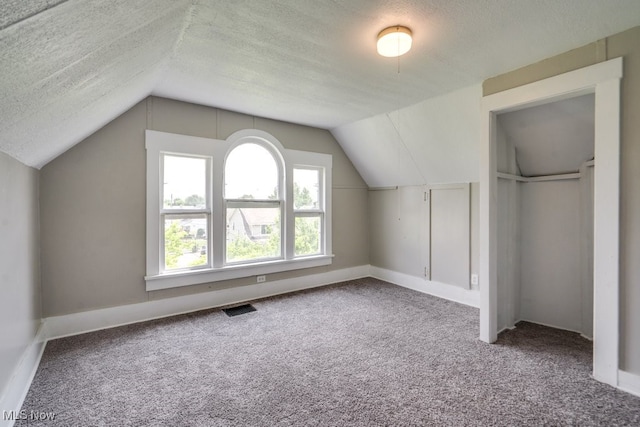 1017 Smith Ave SW, Canton, OH 44706 - additional living space with lofted ceiling, carpet, and a textured ceiling