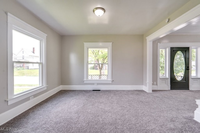 1017 Smith Ave SW, Canton, OH 44706 - carpeted entryway featuring plenty of natural light