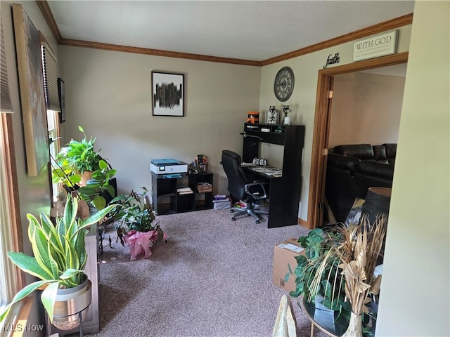 5256 S Saratoga Ave, Austintown, OH 44515 - carpeted office featuring ornamental molding