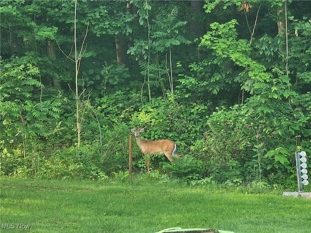 4495 Old River Rd, Philo, OH 43771 - view of yard