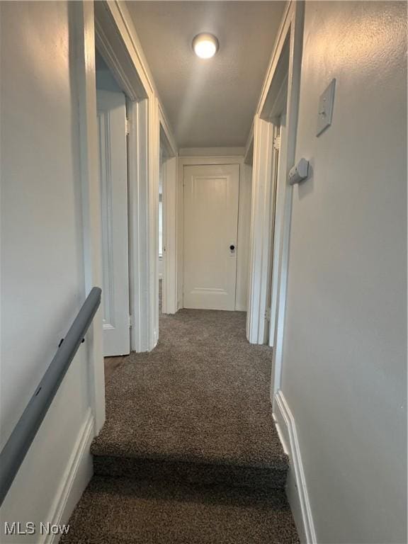 783 Jason Ave, Akron, OH 44314 - hallway with carpet