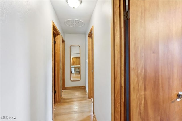 1455 Buckeye Cir, Salem, OH 44460 - corridor with light wood-style floors and baseboards