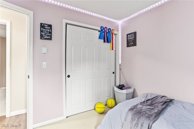 845 Dunny Ave, Sheffield Lake, OH 44054 - bedroom with a closet and light wood finished floors