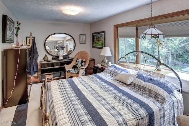 3366 Darrow Rd, Stow, OH 44224 - bedroom featuring a textured ceiling and carpet flooring