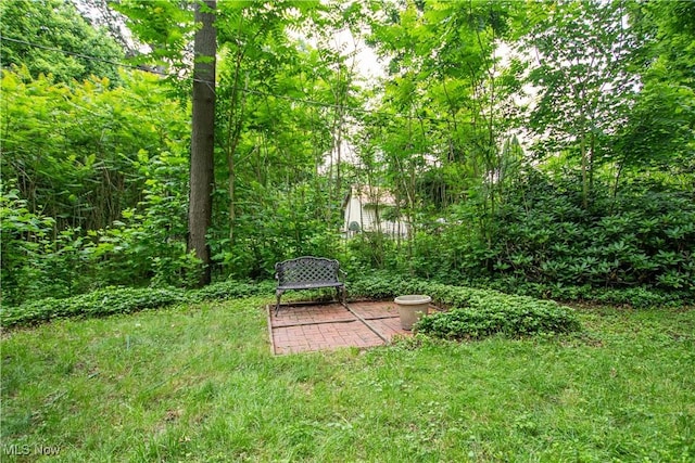 3366 Darrow Rd, Stow, OH 44224 - view of yard with a patio area