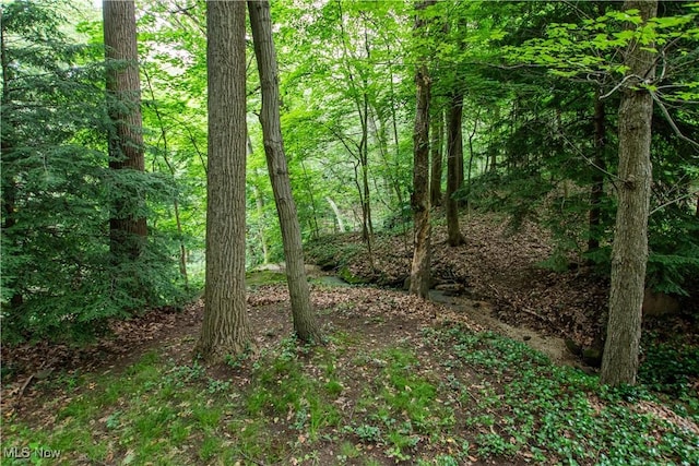3366 Darrow Rd, Stow, OH 44224 - view of woods