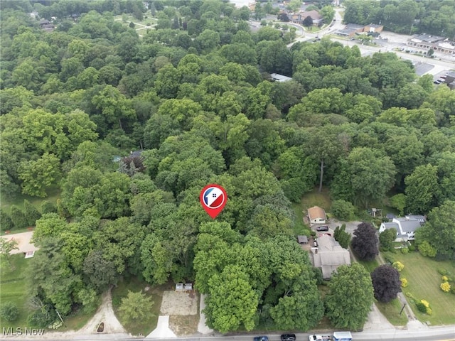 3366 Darrow Rd, Stow, OH 44224 - aerial view of a forest