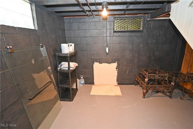 7673 N Lima Rd, Poland, OH 44514 - view of basement