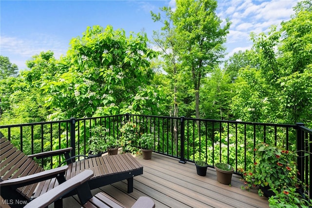 34 Grandview Dr, Rocky River, OH 44116 - photo 21