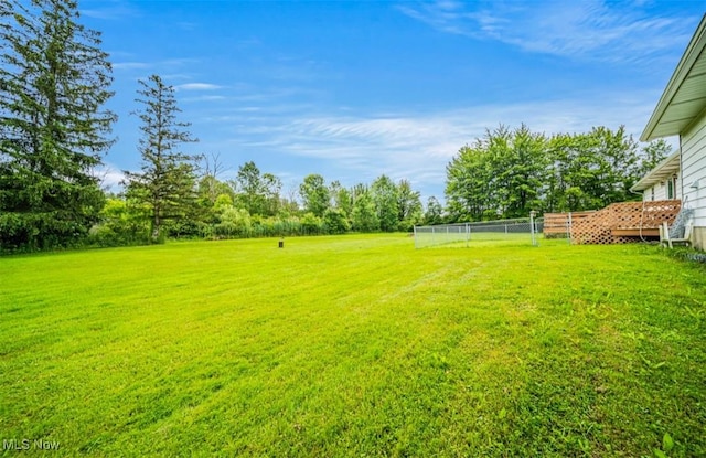 1518 State Route 46 N, Jefferson, OH 44047 - view of grassy yard