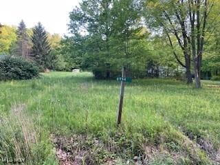 6994 Hankee Rd, Garrettsville, OH 44231 - photo 2
