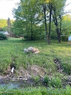 6994 Hankee Rd, Garrettsville, OH 44231 - photo 4
