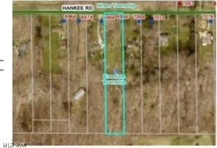 6994 Hankee Rd, Garrettsville, OH 44231 - photo 5
