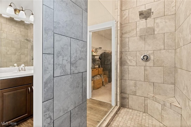 7733 Timber Ave, Hudson, OH 44236 - full bathroom featuring tiled shower, tile walls, vanity, and a walk in closet