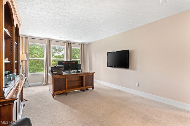 7733 Timber Ave, Hudson, OH 44236 - office area featuring light carpet and a textured ceiling