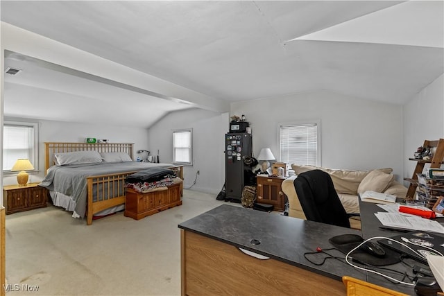 125 Callahan Rd, Canfield, OH 44406 - photo 18
