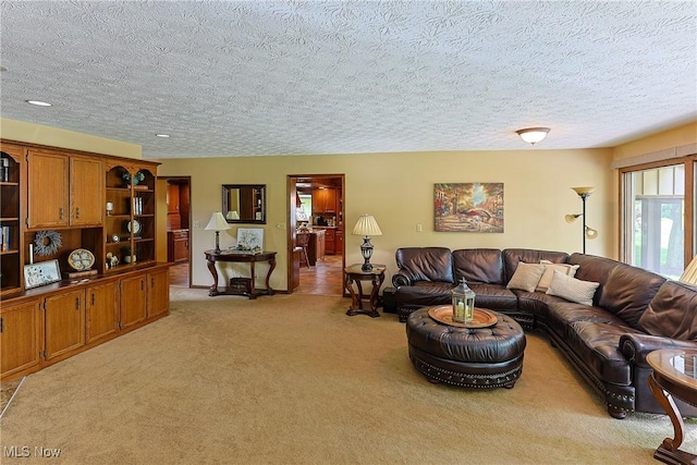 2307 Deerpath Dr, Sandusky, OH 44870 - living area featuring light carpet and a textured ceiling