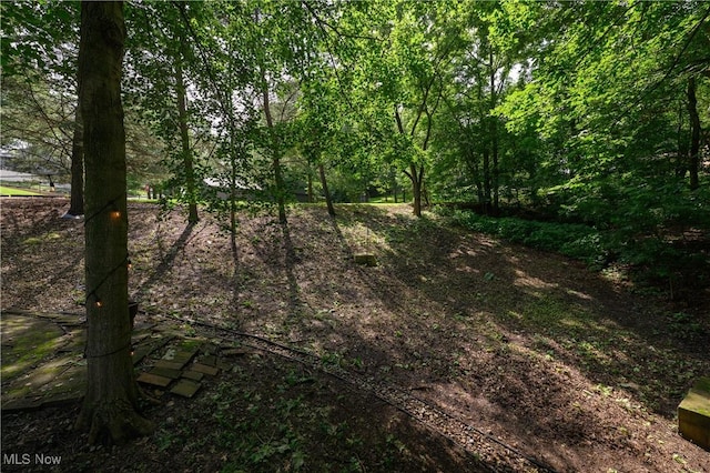 2436 Woodlawn Dr NW, Dover, OH 44622 - view of undeveloped land