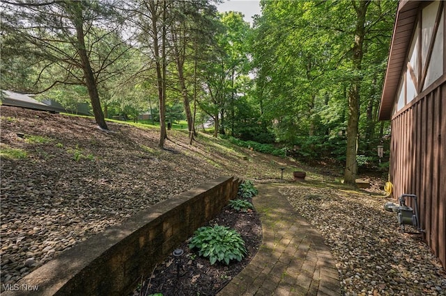 2436 Woodlawn Dr NW, Dover, OH 44622 - view of yard