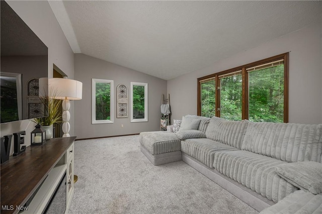 2436 Woodlawn Dr NW, Dover, OH 44622 - living room with carpet flooring, lofted ceiling, and a textured ceiling