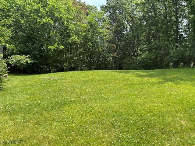 VL Laura Lee Lane, Seven Hills, OH 44131 - photo 3