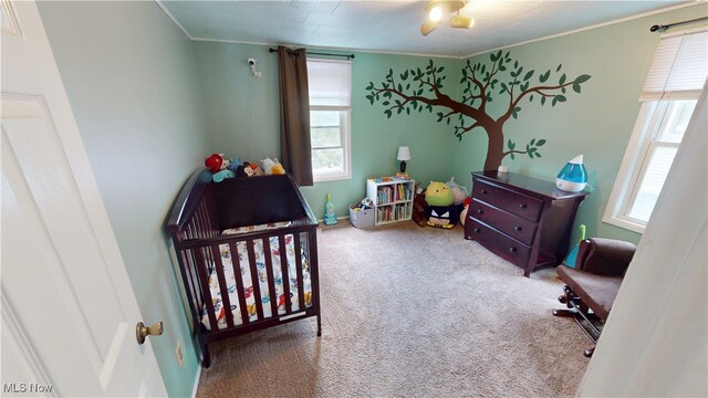 546 Brittain Rd, Akron, OH 44305 - photo 11