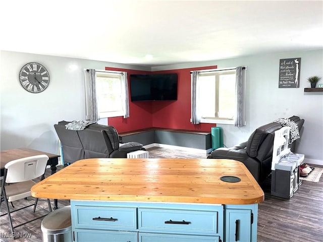 7757 Buckhorn Cv Unit 1665-1666, Millersburg, OH 44654 - kitchen with open floor plan, dark wood-style flooring, butcher block countertops, and blue cabinetry