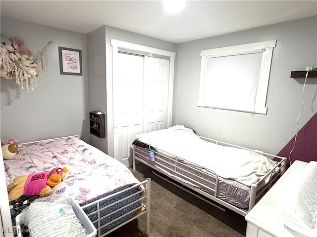 7757 Buckhorn Cv Unit 1665-1666, Millersburg, OH 44654 - bedroom with carpet flooring and a closet