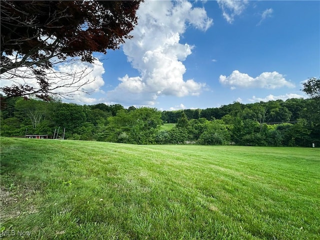 3585 Hayfield Rd, Dresden, OH 43821 - view of grassy yard with a view of trees and a view of countryside